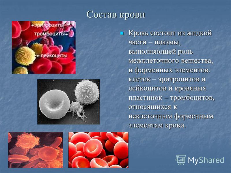 Изменения лейкоцитов в крови
