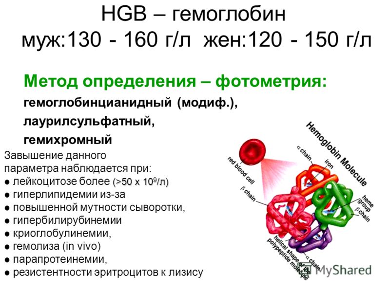 Гемоглобин 180 у мужчин. Гемоглобин. Гемоглобин HGB. Исследование крови на гемоглобин. Уровень гемоглобина в крови.