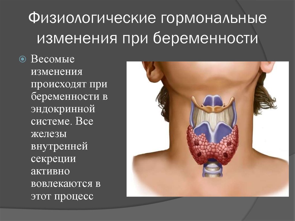 Структурные изменения щитовидной. Железы внутренней секреции щитовидная железа. Щитовидная и паращитовидная железы. Заболевания щитовидной и паращитовидной желез. Патологии паращитовидной железы.