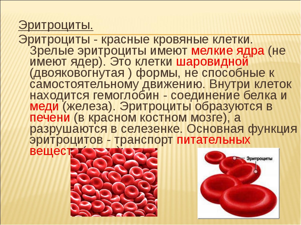 Эритроциты сильно повышены. Кровяные тельца биология 8 класс. Красные кровяные тельца называются. Эритроцит. Эритроциты красные кровяные клетки.
