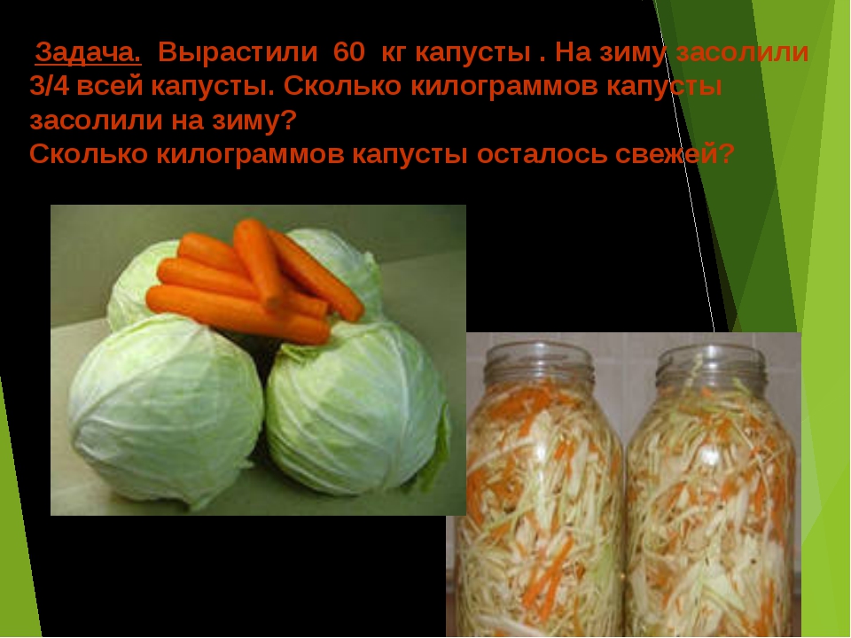 Солим капусту сколько соли. Капуста квашенная соли на 1 кг капусты. Засолка капусты с морковью. Устройства для соления капусты. Процент соли в квашеной капусте.