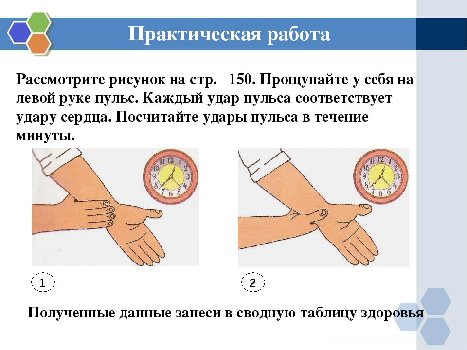Почему измеряем пульс. Как правильно сереть пульс рукой. Правильное измерение пульса на руке. Как измерить пульс на руке. Правильное изменение пульса.