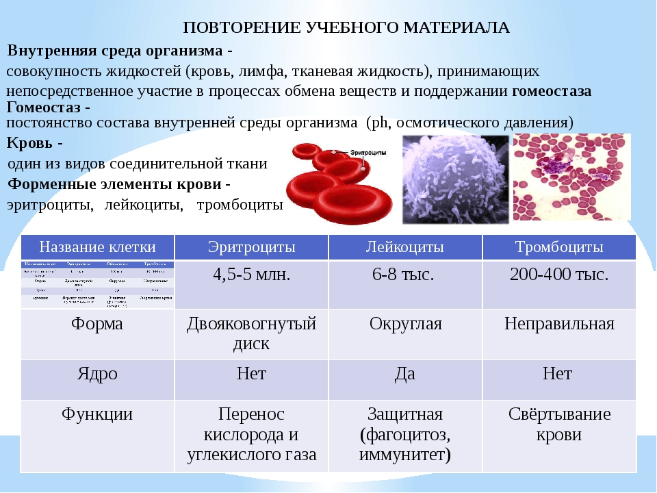 Сколько меняется кровь у мужчин. Состав крови биология 8кл. Состав и функции крови 8 класс биология. Функция крови по биологии 8 класс. Кровь состав и функции крови биология 8 класс.