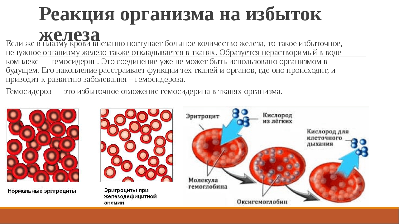 Гемоглобин мало почему. Гемоглобин. Железа в крови. Повышение уровня гемоглобина. Кровь и железо.