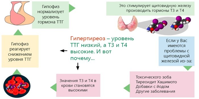 Диффузное изменение щитовидной железы по типу тиреоидита