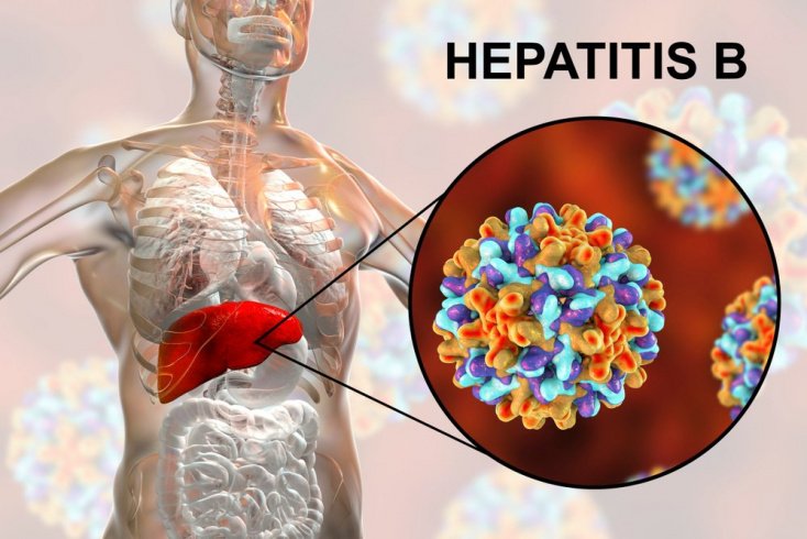 Гепатит Б: как передается инфекция