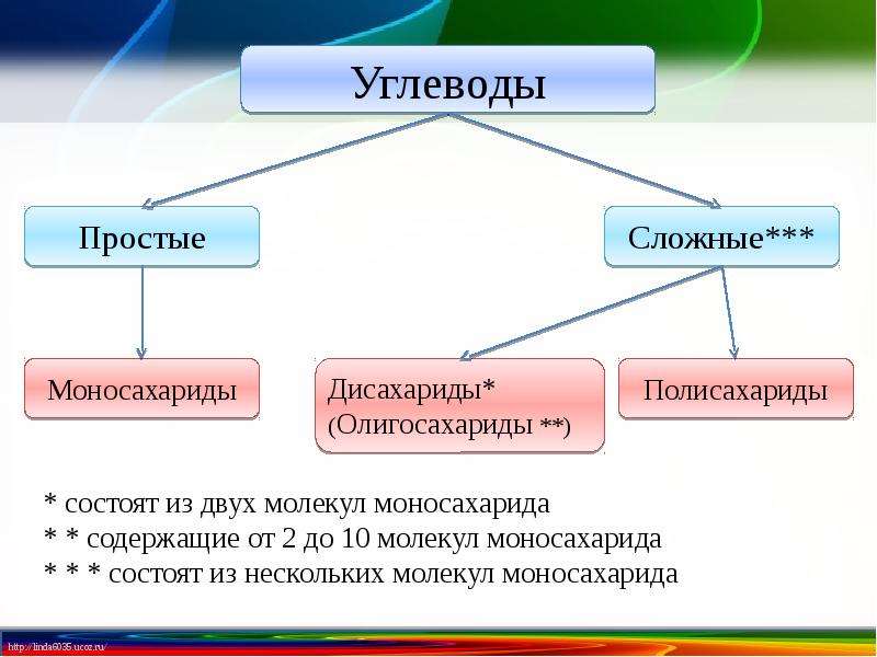 Углеводы делятся на группы