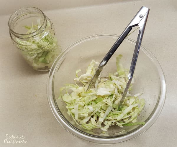 Cabbage and salt are all you need to make small batches of this authentic German sauerkraut at home. 
