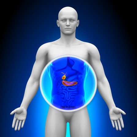 Recognizing The Symptoms of a Gallbladder Attack - Florida Medical Clinic