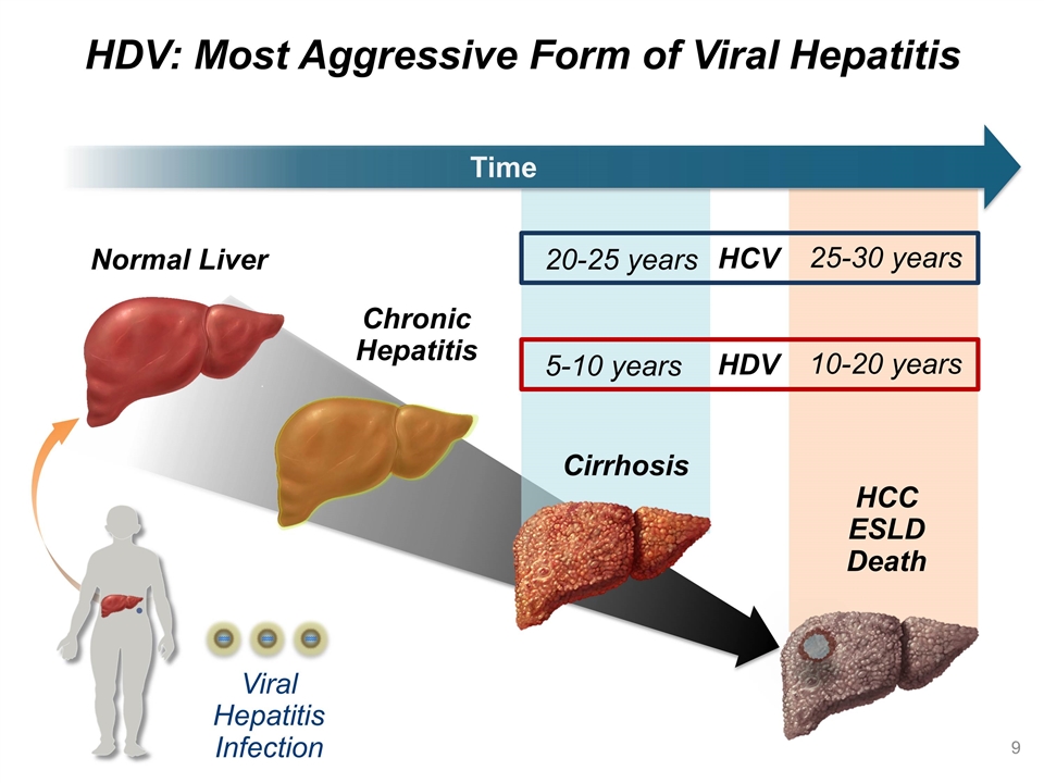Гепатит тяжелой формы. HCV инфекция. Гепатит c.