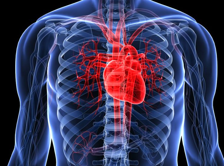 Причины высокого сердечного пульса
